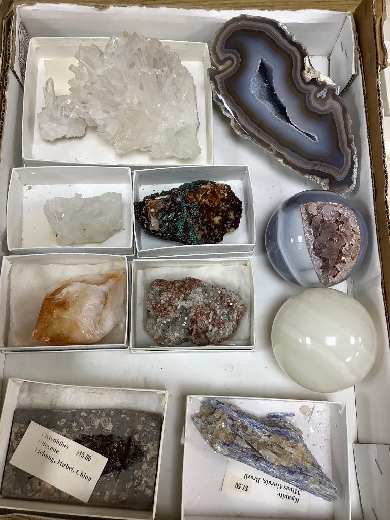 A collection of mineral specimens